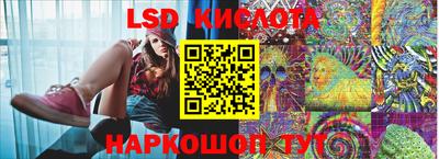 крисы Гусев