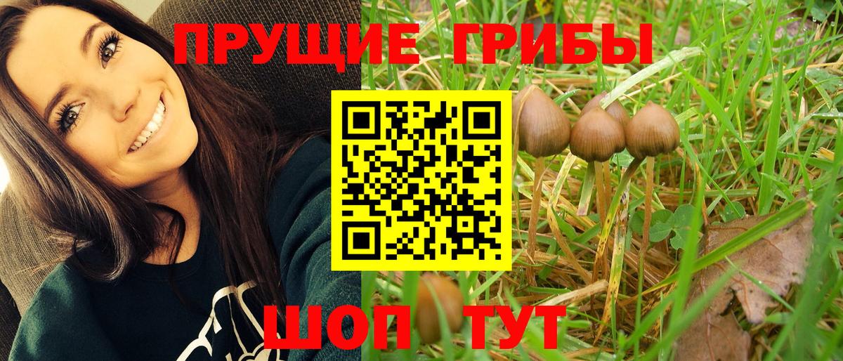 Галлюциногенные грибы Cubensis  Галлюциногенные грибы GOLDEN TEACHER  Вход с VPN  Североморск 