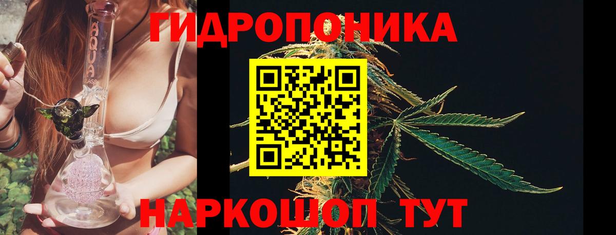 Канабис SATIVA & INDICA  Бошки марихуана сатива  Конопля Ganja  Вход с VPN  Североморск 
